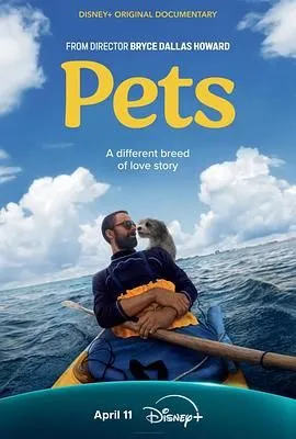 宠 Pets