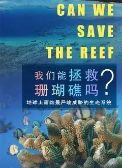我们能拯救珊瑚礁吗