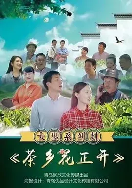 茶乡花正开