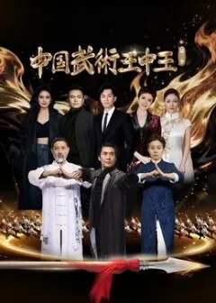 中国武术王中王第二季