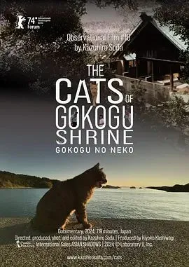五香宫的猫