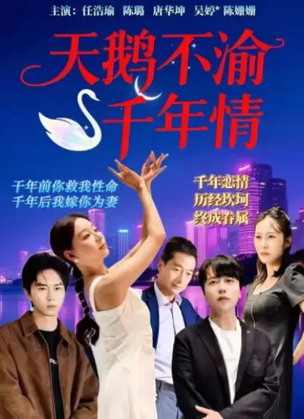 天鹅不渝千年情