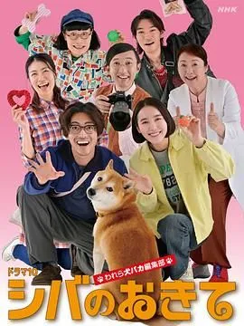 柴犬的规矩我们这群狗痴编辑部
