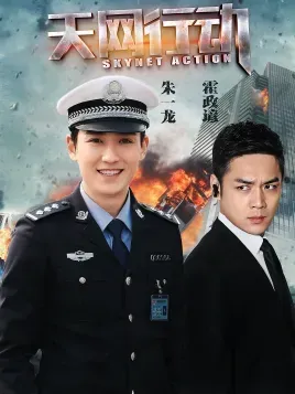 天网行动