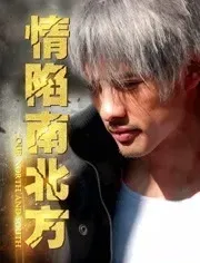 情陷南北方