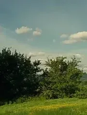 魔法保姆