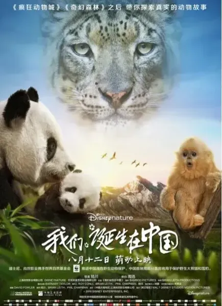 我们诞生在中国