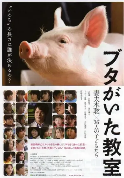 小猪教室