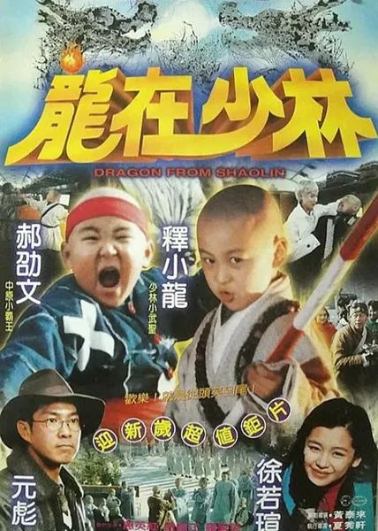 龙在少林