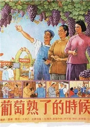 葡萄熟了的时候