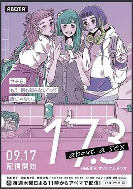 17.3关于性
