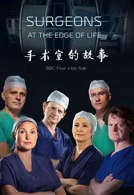 外科医生：生命边缘第一季