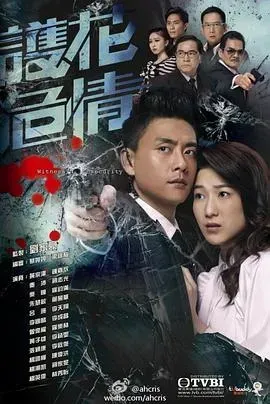 护花危情粤语版