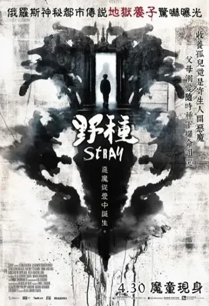 阴儿