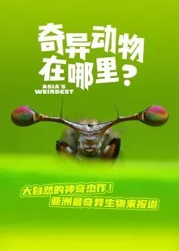 奇异动物在哪里？