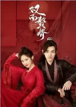 双面赘婿