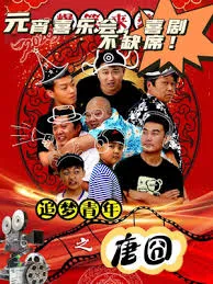 追梦青年之唐囧